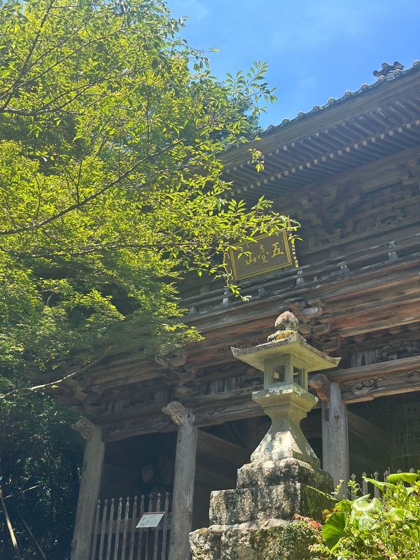 日本・桂浜「高知　2024.07」の写真