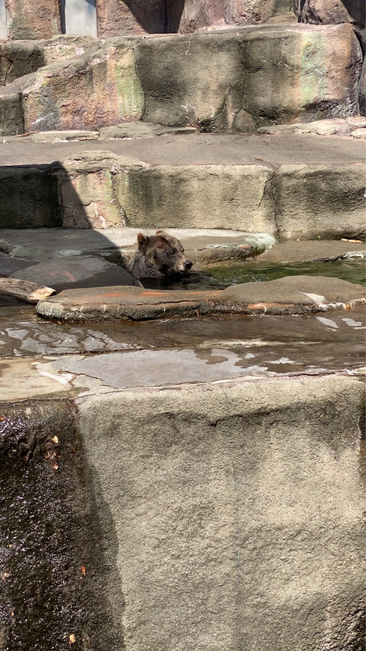 さくめさんの鰻は絶品でした。
浜太郎の餃子好きな味でした。
