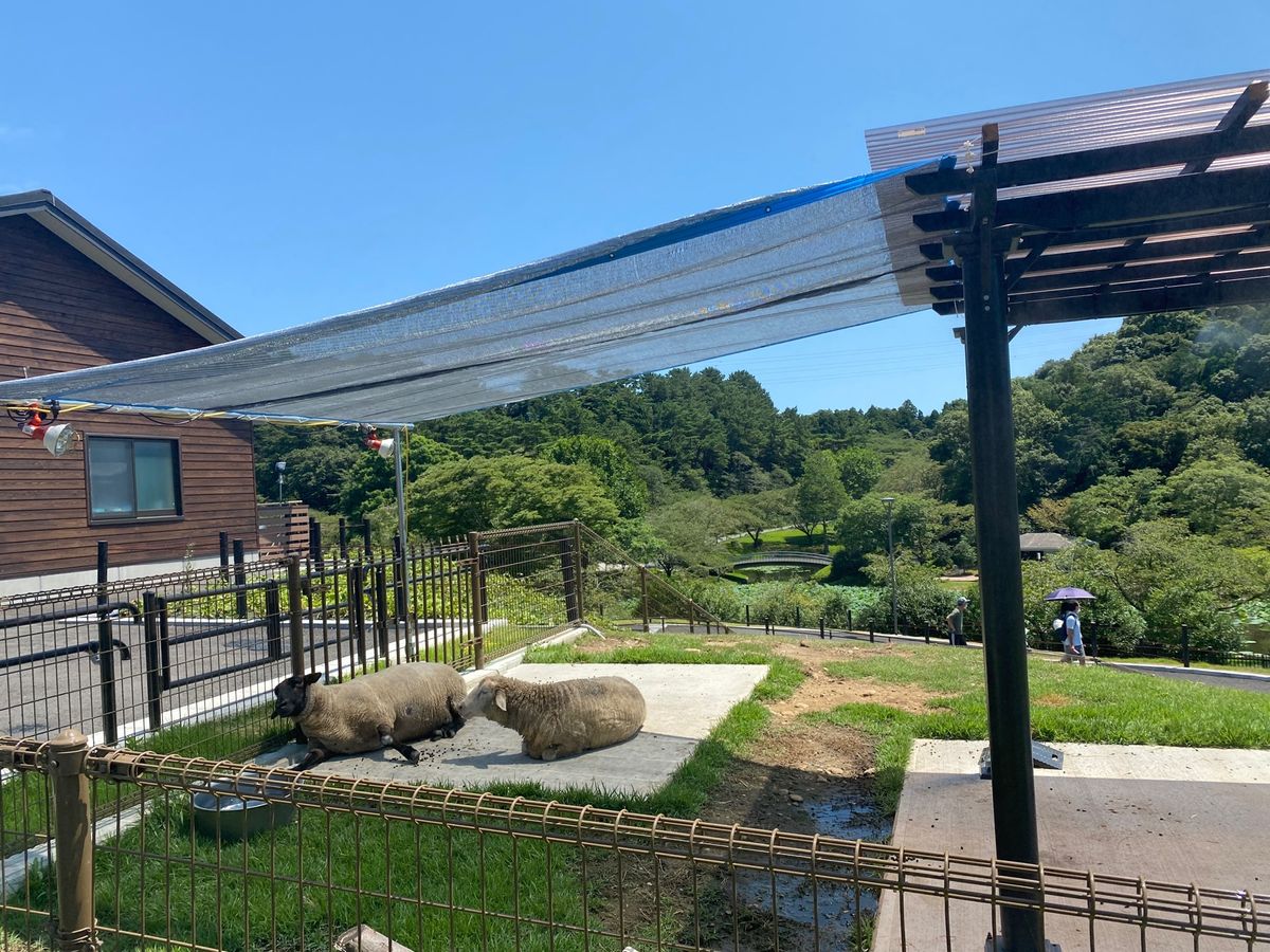 さくめさんの鰻は絶品でした。
浜太郎の餃子好きな味でした。