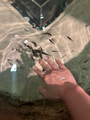 DMMかりゆし水族館