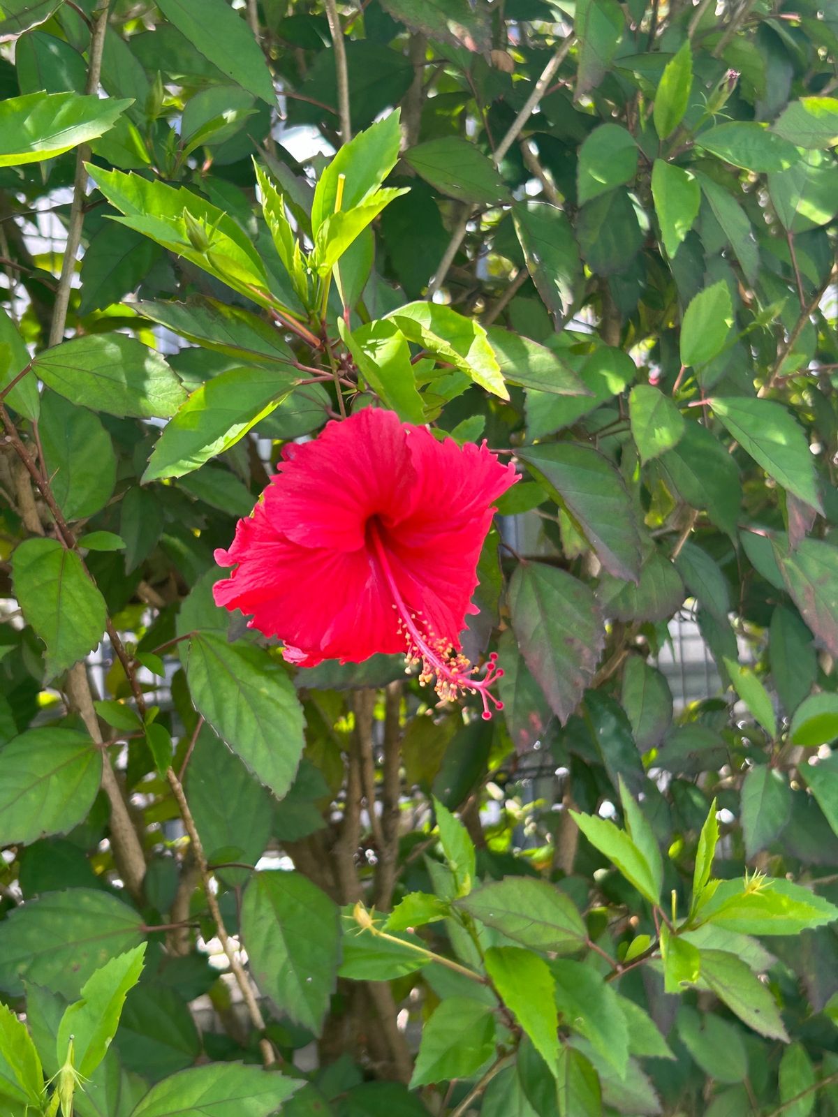 豊崎美らSUNビーチ