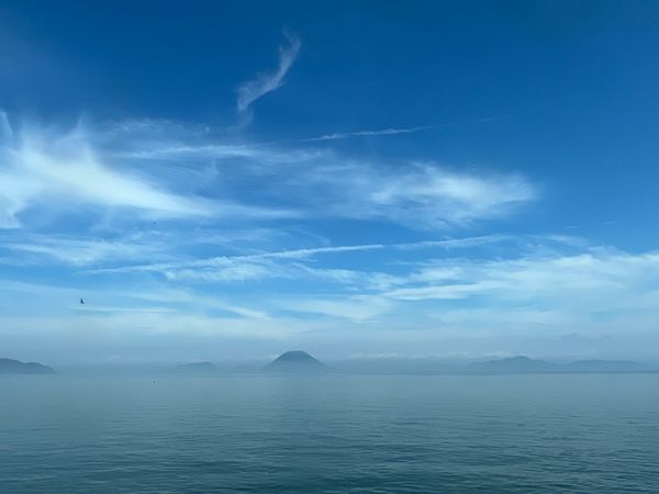 「愛媛県・香川県出張」の写真：#川之江城　#高松城跡