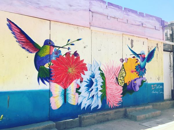 メキシコ・メキシコ、プエルトペニャスコ「メキシコ・プエルトペニャスコ」の写真