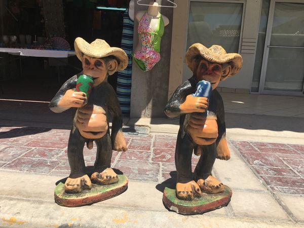 メキシコ・メキシコ、プエルトペニャスコ「メキシコ・プエルトペニャスコ」の写真