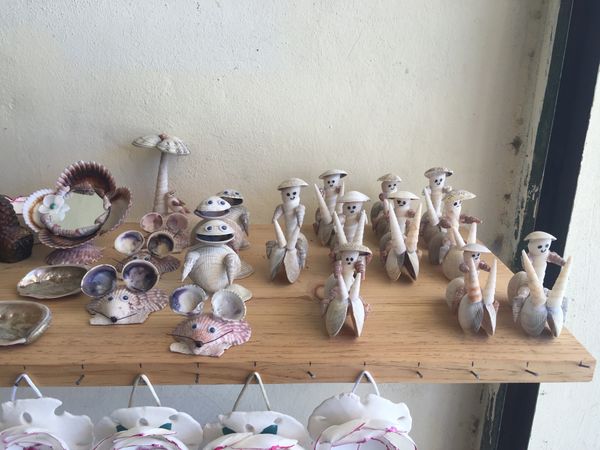 メキシコ・メキシコ、プエルトペニャスコ「メキシコ・プエルトペニャスコ」の写真