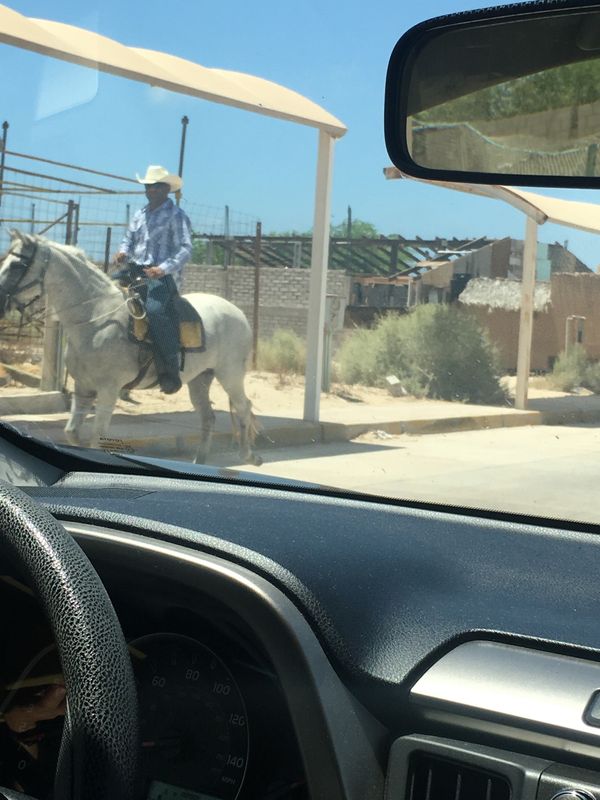 メキシコ・メキシコ、プエルトペニャスコ「メキシコ・プエルトペニャスコ」の写真