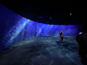 水族館「AOAO SAPPORO」

ススキのあたりにできたらしい水族館へ...