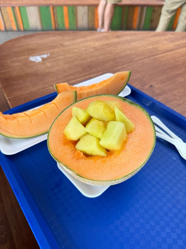 日本・北海道「旭川ー札幌　家族旅行」の写真：とみたメロンハウスとファーム富田

メロ...