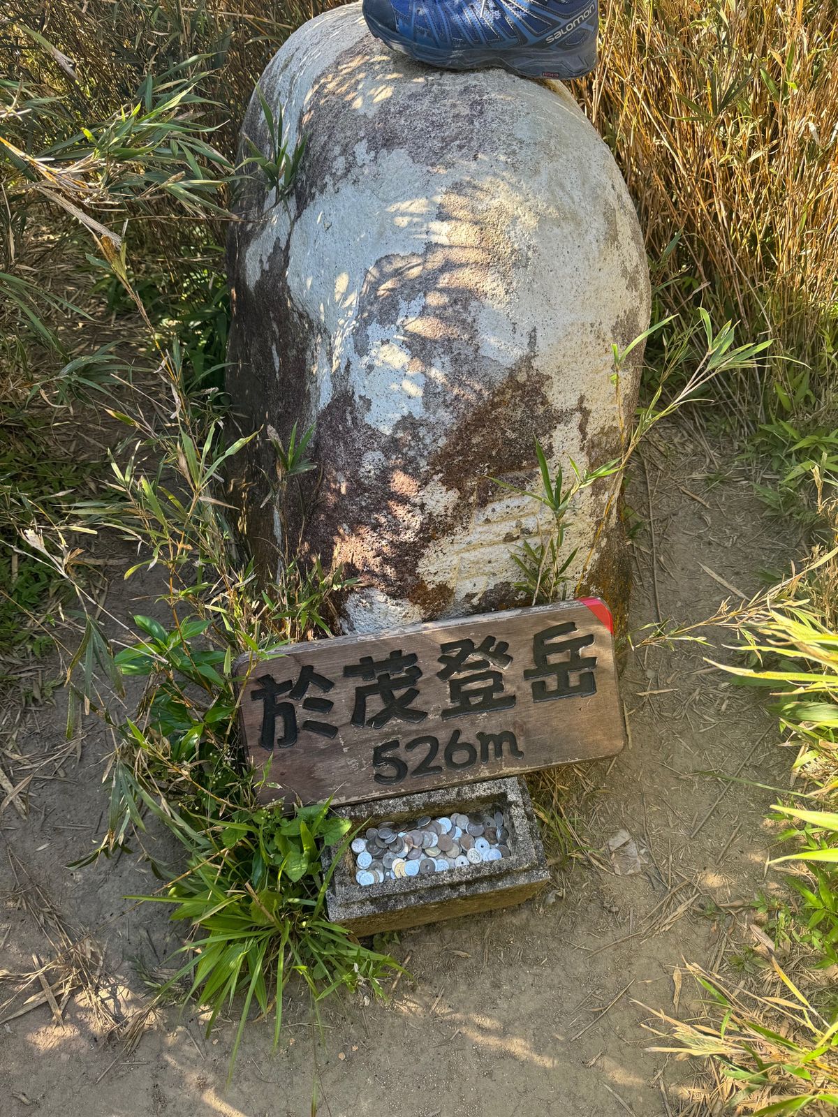 今日も石垣島をぐるっと回って来ました🚗
明日には帰ると思うと寂しいです🥲
...