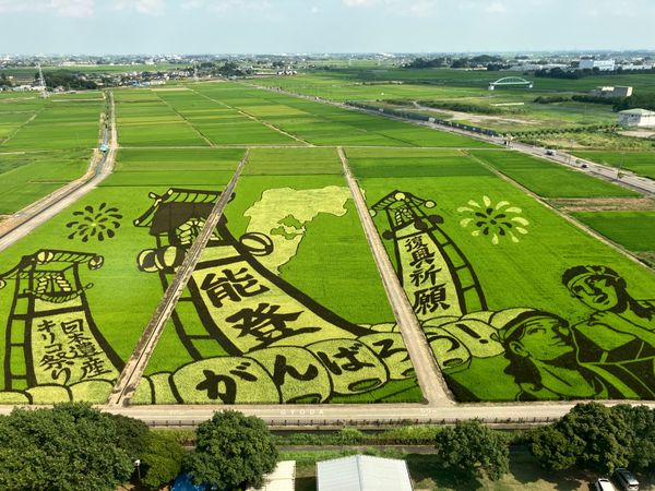 日本・静岡県「青春18きっぷ東海・関東・東北の旅」の写真：古代蓮の里から見る田んぼアート　見事です