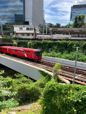 映画『すずめの戸締り』の舞台になった　聖橋
電車と電車がクロスする瞬間が撮...