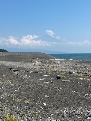 三保の松原、富士山は雲が多くてくっきりと見えず残念