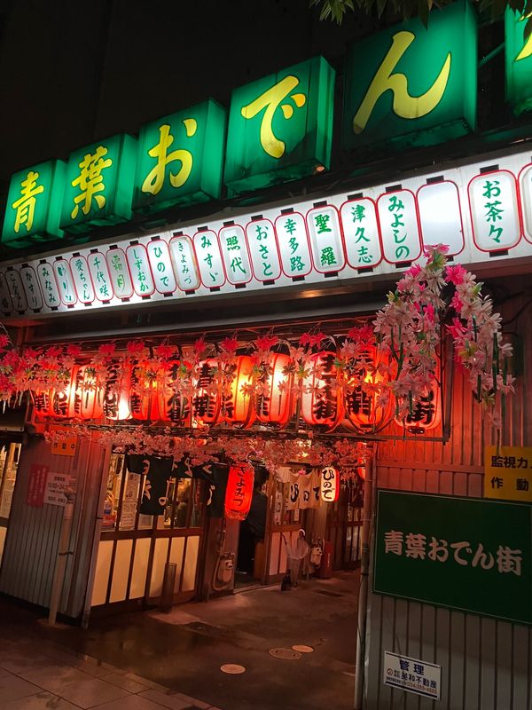 日本・静岡県「青春18きっぷ東海・関東・東北の旅」の写真：青葉おでん街 ひよこ