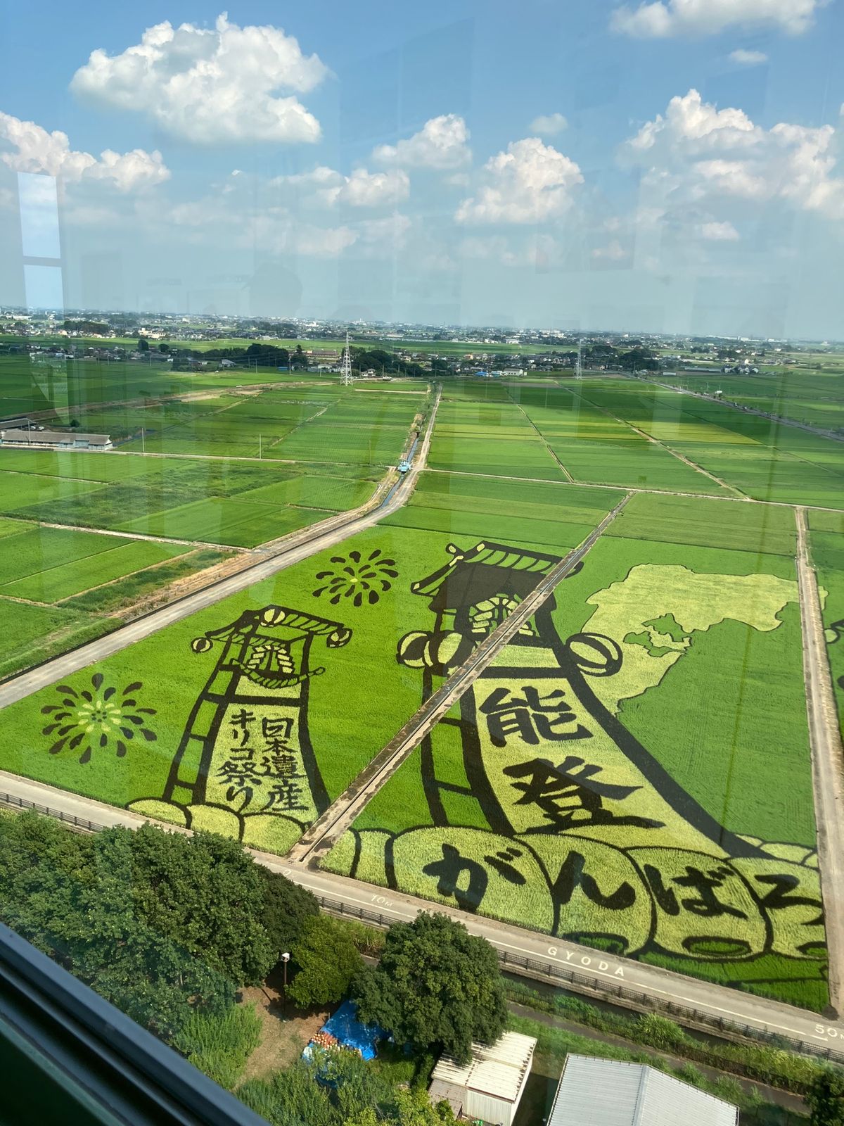 古代蓮の里から見る田んぼアート　見事です