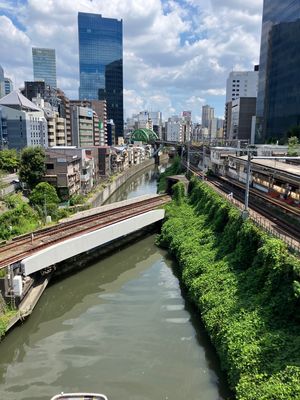 映画『すずめの戸締り』の舞台になった　聖橋
電車と電車がクロスする瞬間が撮...