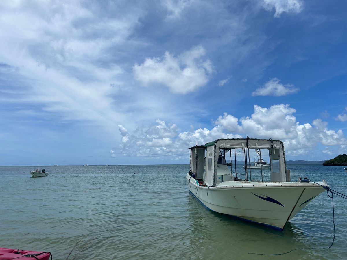 川平湾はサイコーにキレイです！
ダイビングショップよ犬が膝に乗ってきて可愛...