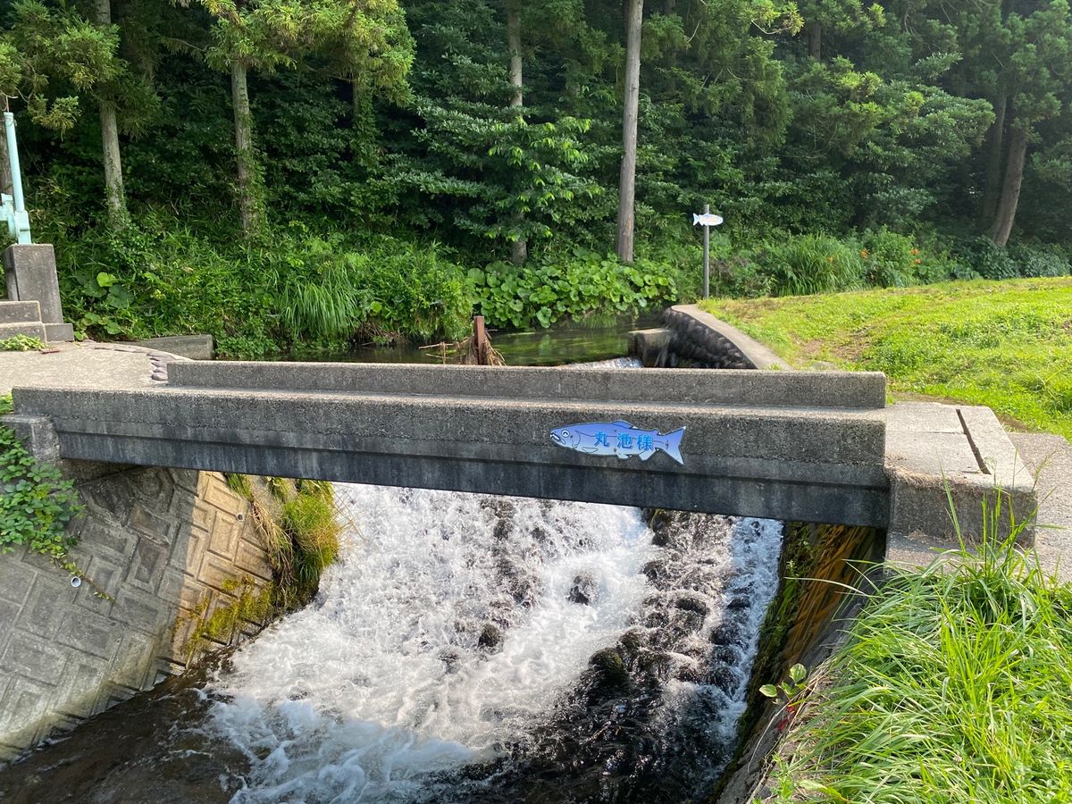 丸池様。太陽の光が射すと、とても綺麗なブルーです。