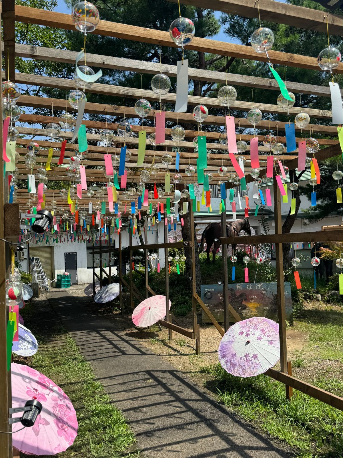 日本の夏って感じですね。