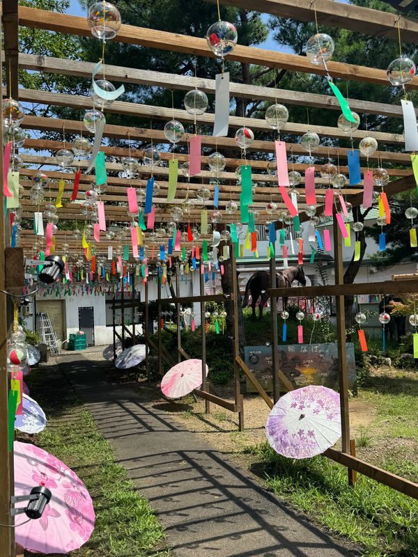 日本・岐阜県「関ヶ原ウォーランド」の写真：日本の夏って感じですね。