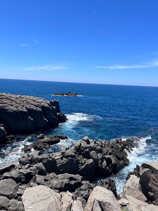 日本・恐竜博物館「小松空港からの福井旅」の写真