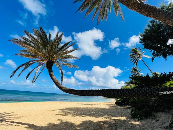 アメリカ(米国)・ハワイノースショア「ハワイ ノースショア♡」の写真：ノースショアのもっと上、誰もいないサンセ...