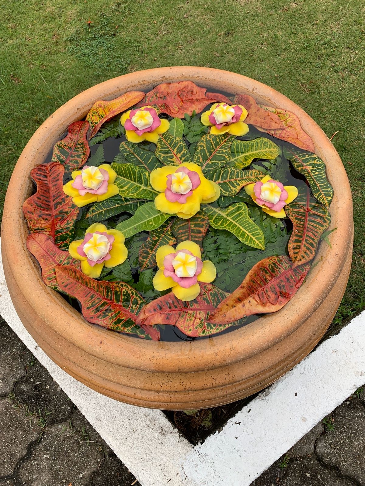 リゾート感が素敵🌺