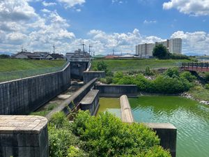 帰りは新大阪から新幹線だったので、ちょっと寄り道して日本最古のダム、狭山池...