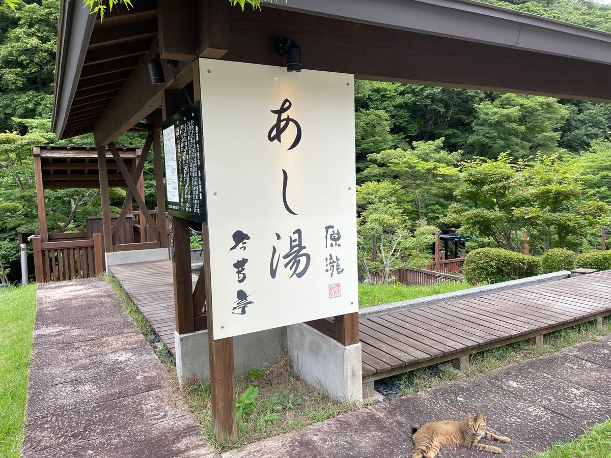 この日のお宿は会津若松市郊外の東山温泉。足湯もある旅館でした。