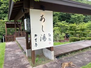 この日のお宿は会津若松市郊外の東山温泉。足湯もある旅館でした。