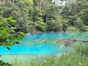 濃いブルーやエメラルドグリーンなど様々な色の五色沼。磐梯山も綺麗に見えました。