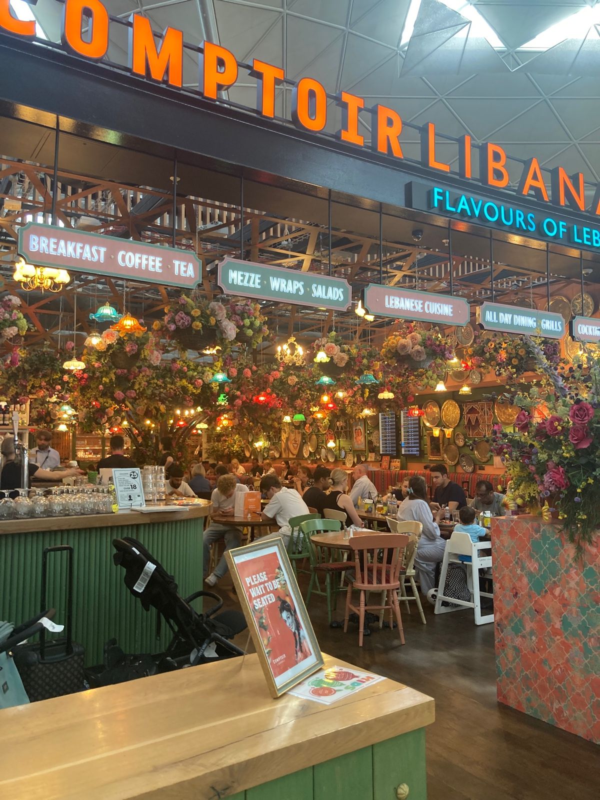 変な形の翼✈️