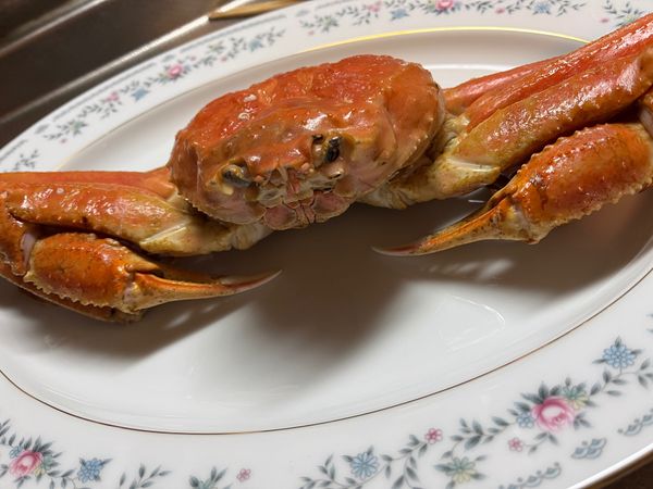 日本・北海道「家族旅行」の写真