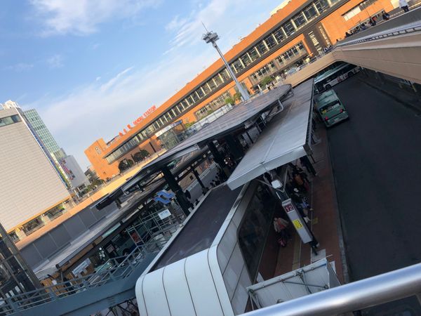 日本・宮城県「いっぱい牛タン食べたよ」の写真