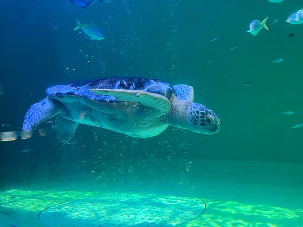 日本・三重県「家族旅行」の写真