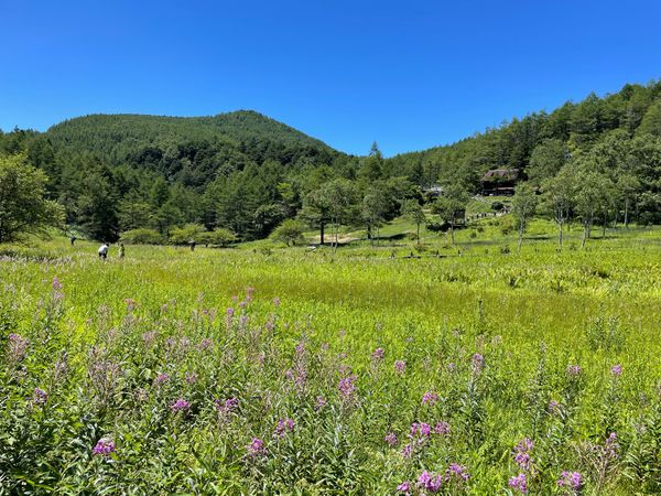 日本・長野県「2024夏・入笠山日帰りハイキング」の写真：ゴンドラ駅からは徒歩で10分ほどの距離に...