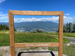 ゴンドラ駅近くもお花畑になっています。足に自信がない方はここだけでも楽しめ...