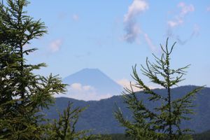 歩き始めて１時間ほどで標高1,995mの入笠山頂上につきました。頂上はとて...