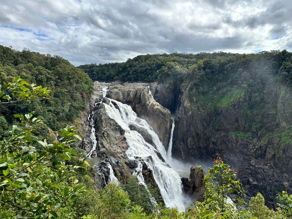 オーストラリア連邦・ケアンズ「202406ケアンズ / 社員旅行」の写真