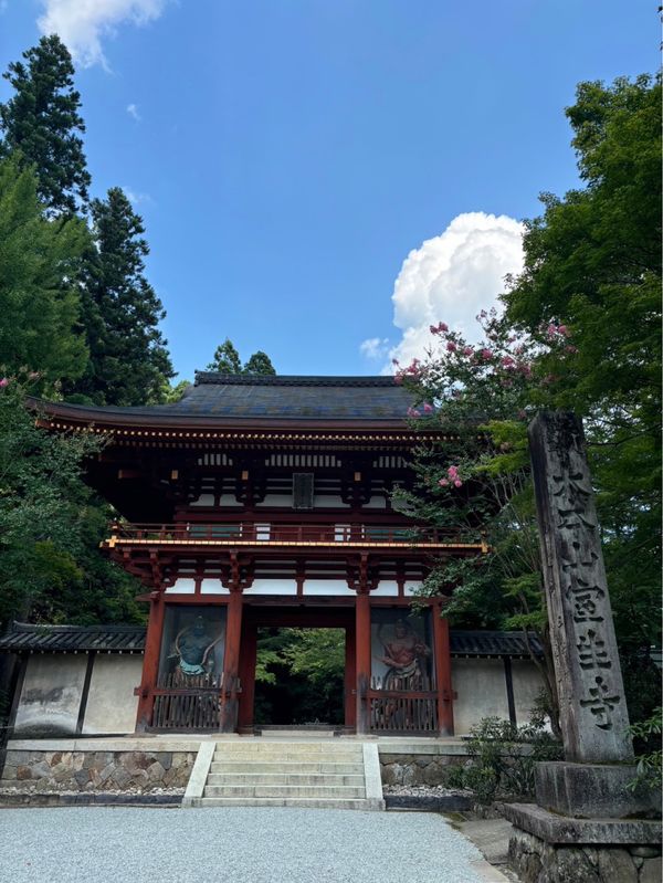 日本・奈良県「奈良日帰りお出かけ」の写真