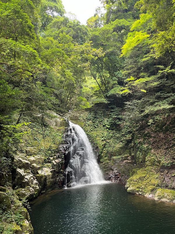 日本・奈良県「奈良日帰りお出かけ」の写真