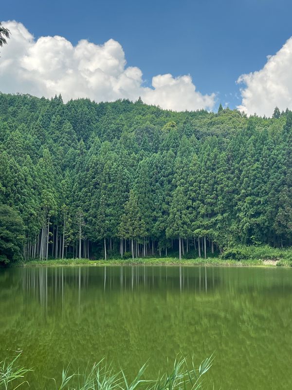 日本・奈良県「奈良日帰りお出かけ」の写真