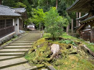 キャンプからの帰りしな、丸岡城と永平寺に寄ってきました！
曇りで涼しく、日...