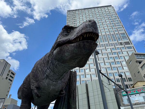 日本・福井県「福井キャンプ⛺️」の写真