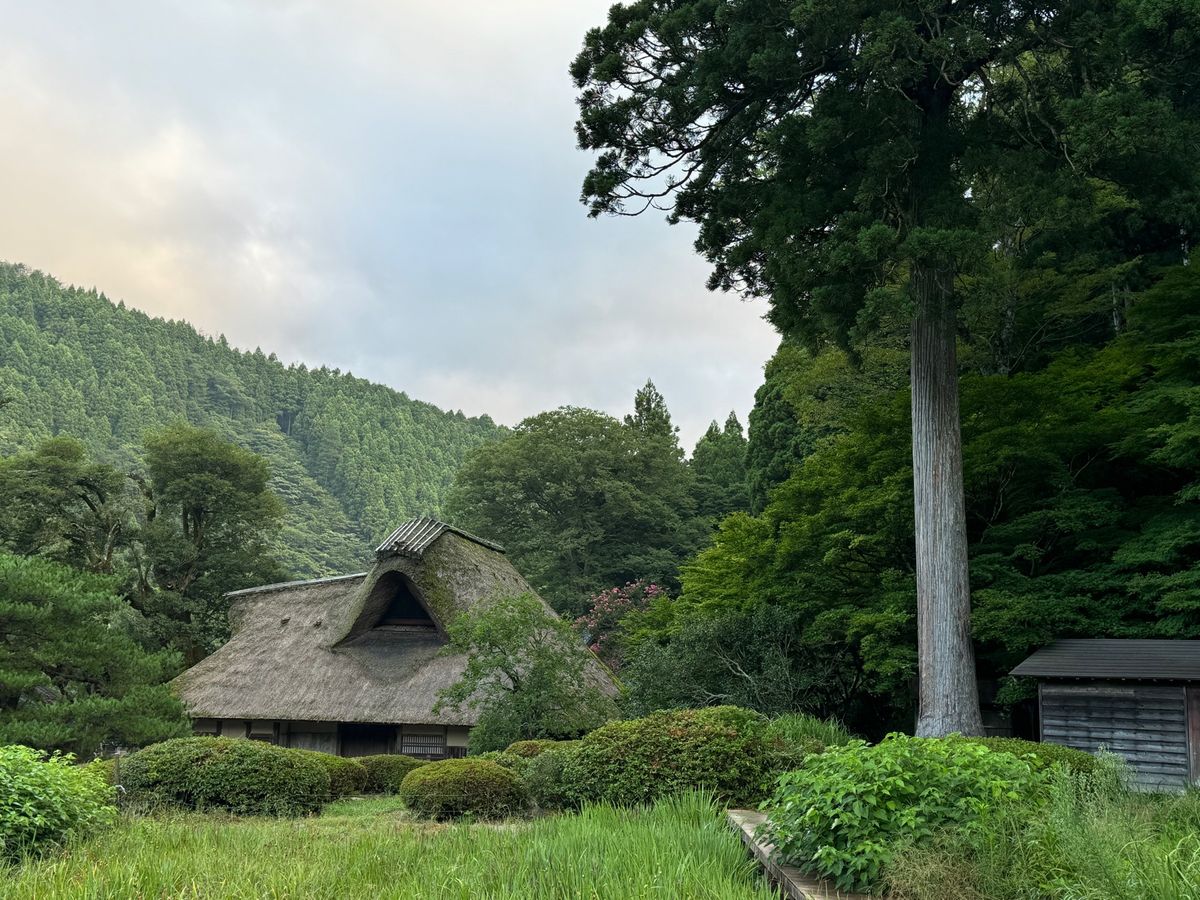 家族はグゥースカ寝てるので1人で朝の散歩に🚶
キャンプ場の近くには千古の家...