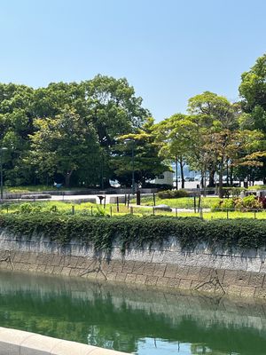 長崎中華街
海沿いの広い駐車場から少し歩き、角煮まん の食べ歩き。どのお店...