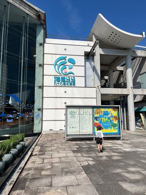 九十九島 水族館 海きらら

水族館なのに入園料が安い！イルカ🐬ショーもあ...