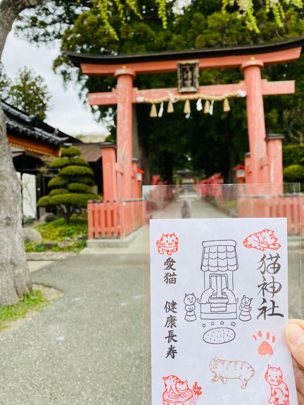 日本・岩手県遠野市「🌸さくらドライブ②」の写真