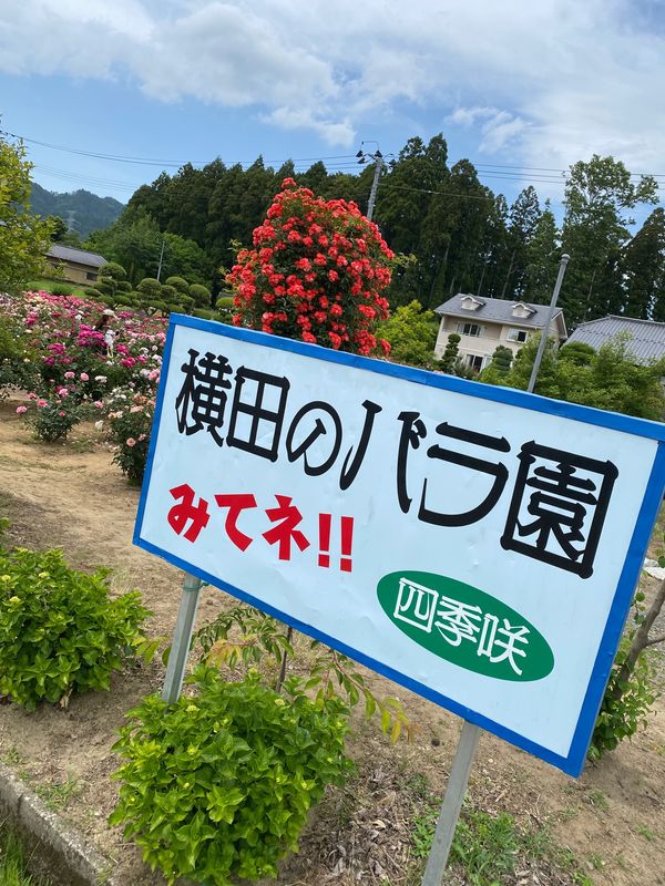 日本・福島県南相馬市「🐎相馬野馬追まつり」の写真