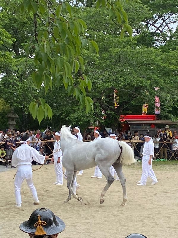 日本・福島県南相馬市「🐎相馬野馬追まつり」の写真
