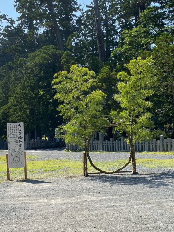日本・山形県鶴岡市「夏詣　神々の山へ」の写真